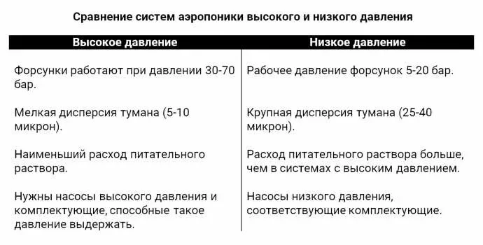 2 подвида.webp