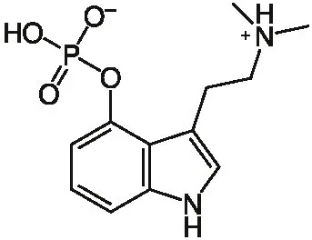 _ _ _Psilocybin mushrooms_ _4-Phosphoryloxy-N_N-dimethyltryptamine_.webp