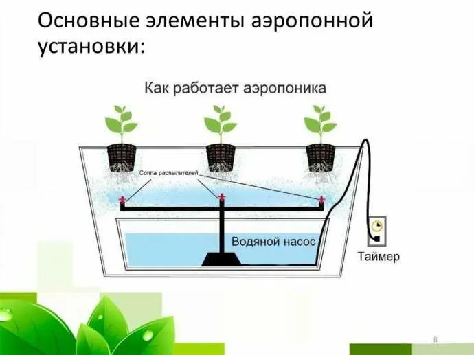 Аэропонные системы.webp