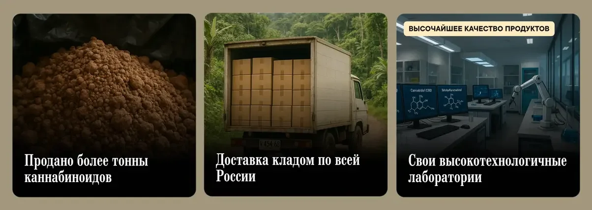 барон рц.webp