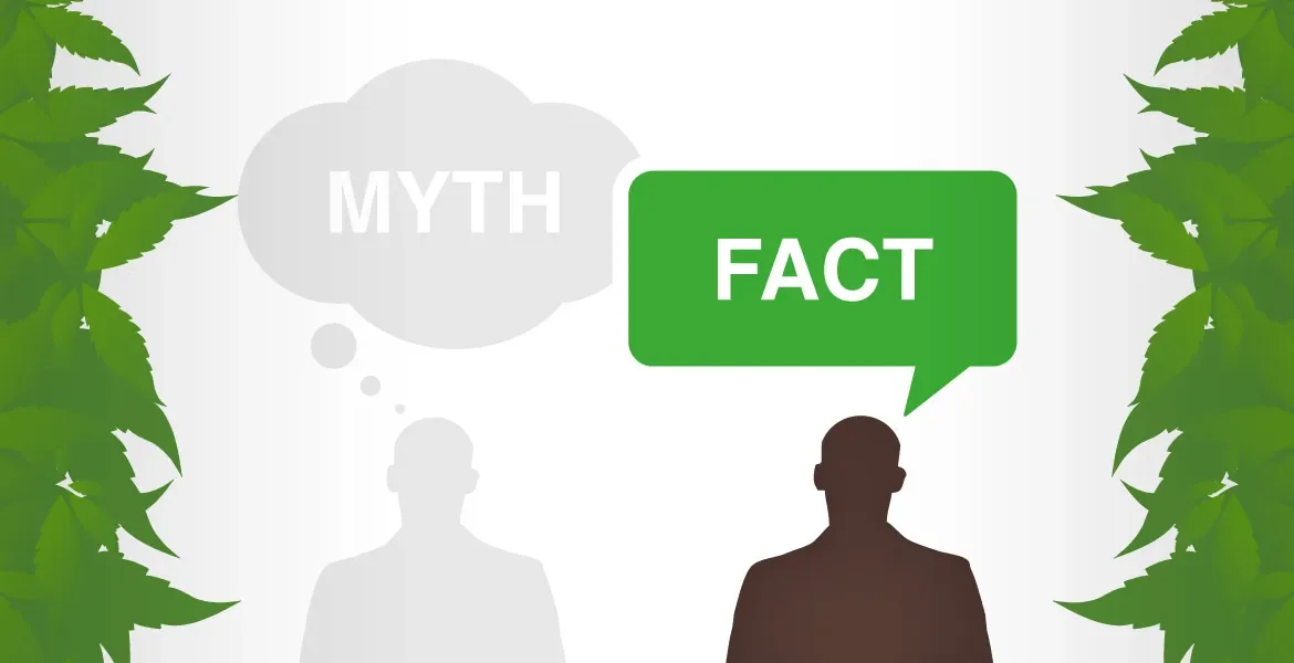 Cannabis-Myth-or-Fact.webp