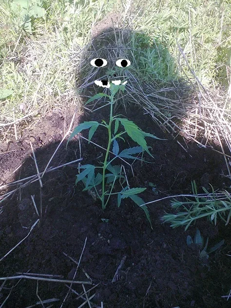 clone in outdoor3.webp