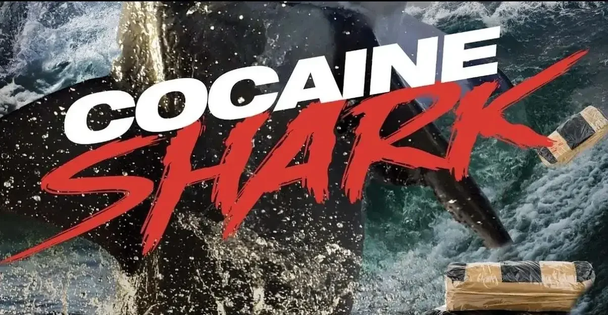 cocaine shark.webp