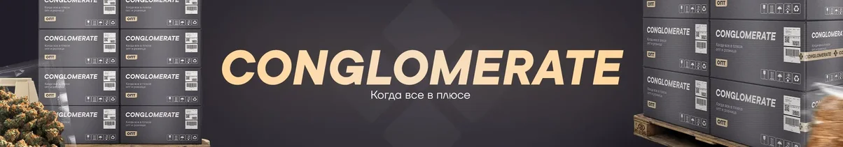 CONGLOMERATE.webp