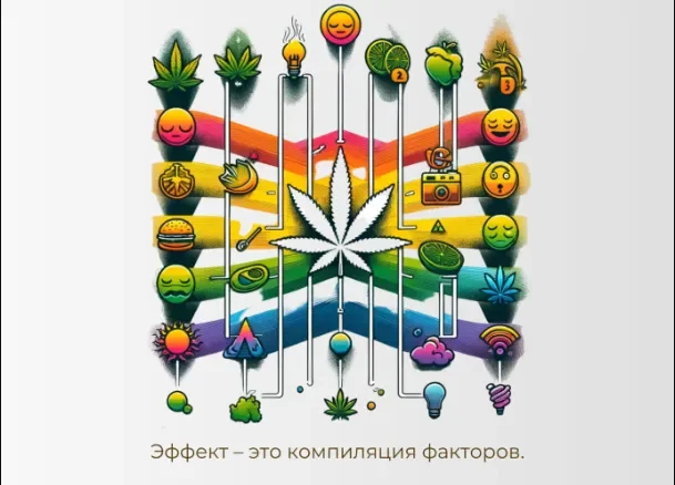 ЭФФЕКТ.webp