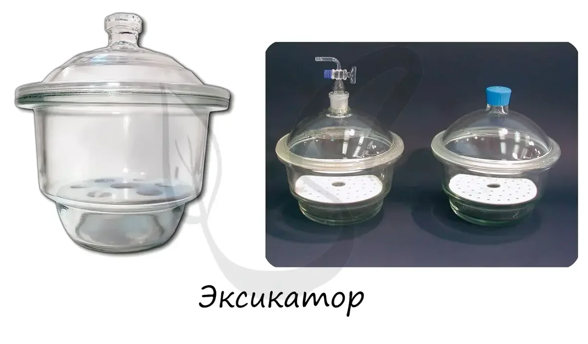 эксикатор.webp