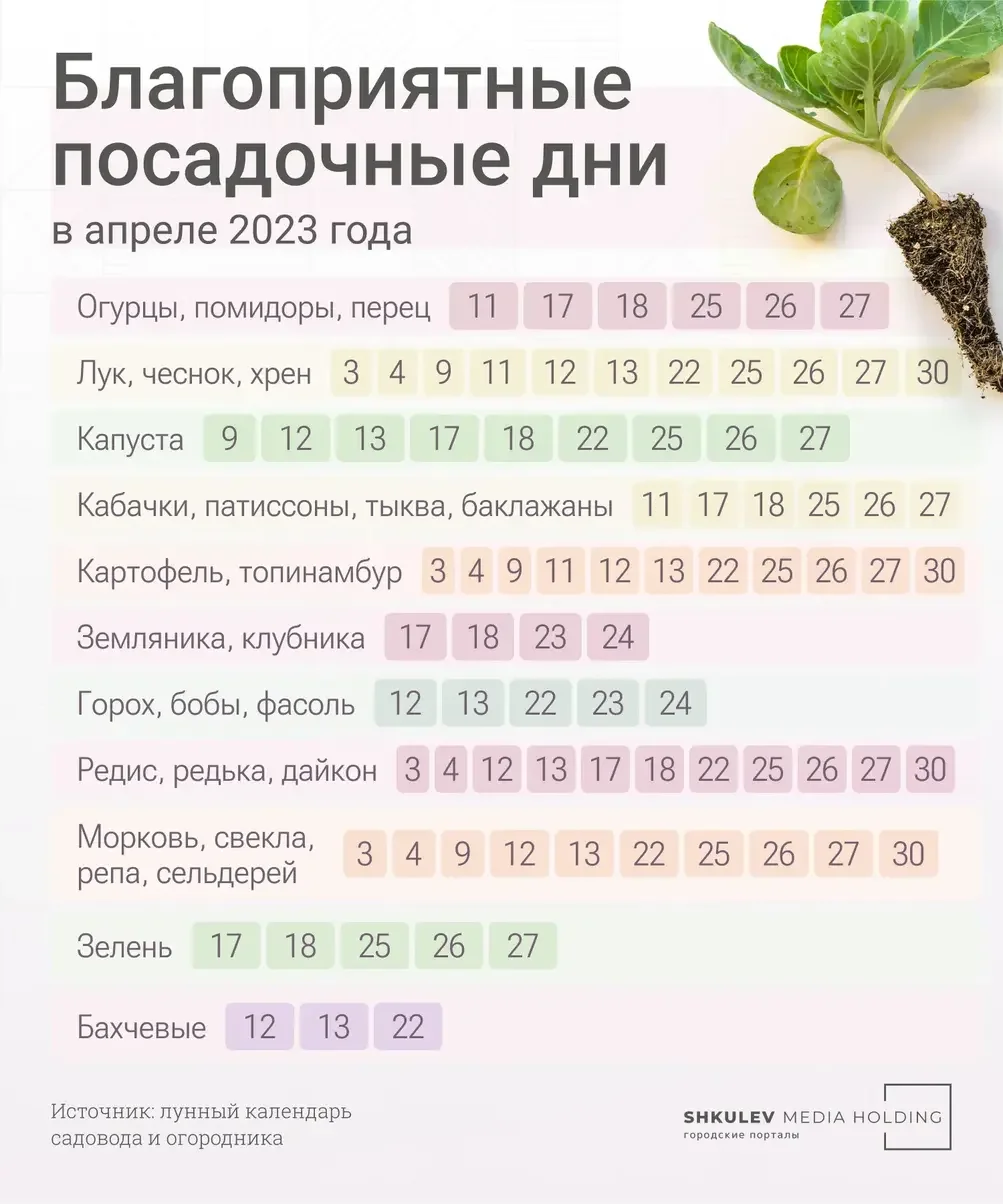 фазы Луны.webp