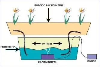 Фитильная система_.webp