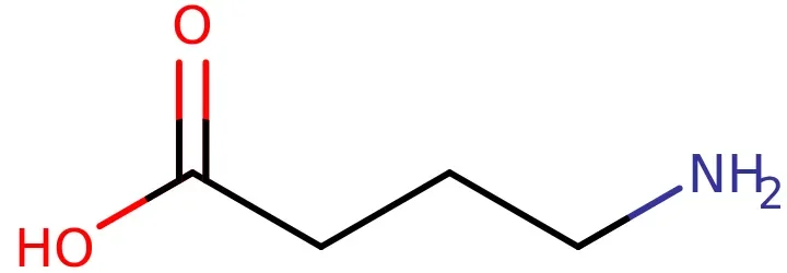 Gaba, gamma-aminobutyric acid.webp