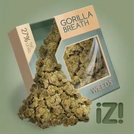 Gorilla Breath  _.webp