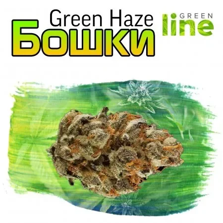 Green Haze _.webp