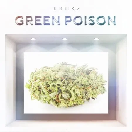 Green Poison.webp