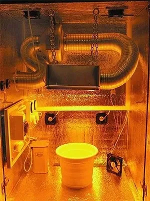 Гроубокс.webp