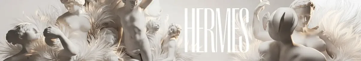 HERMES shop.webp