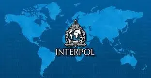 interpol.webp