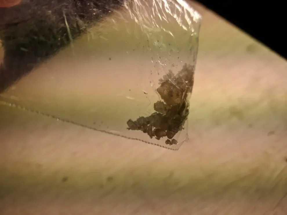 mdma.webp