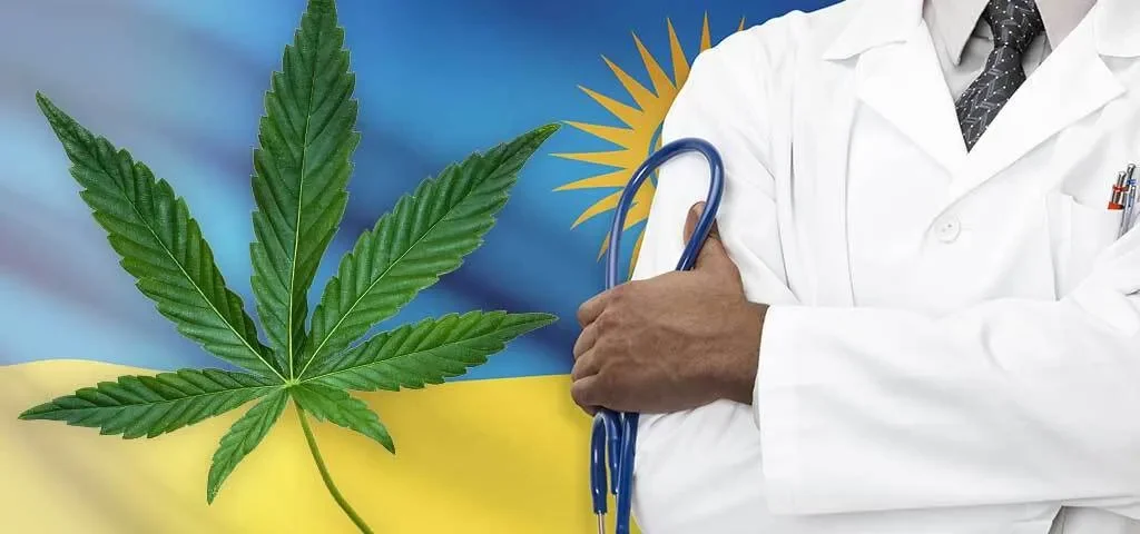 медицинский каннабис.webp