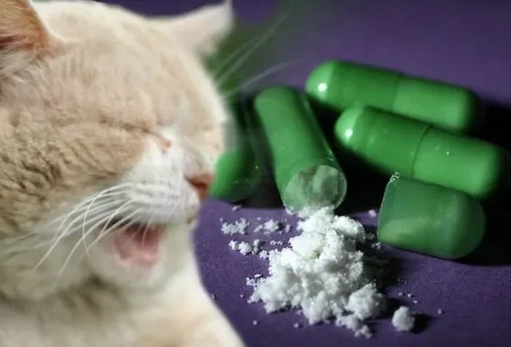 Mephedrone.webp