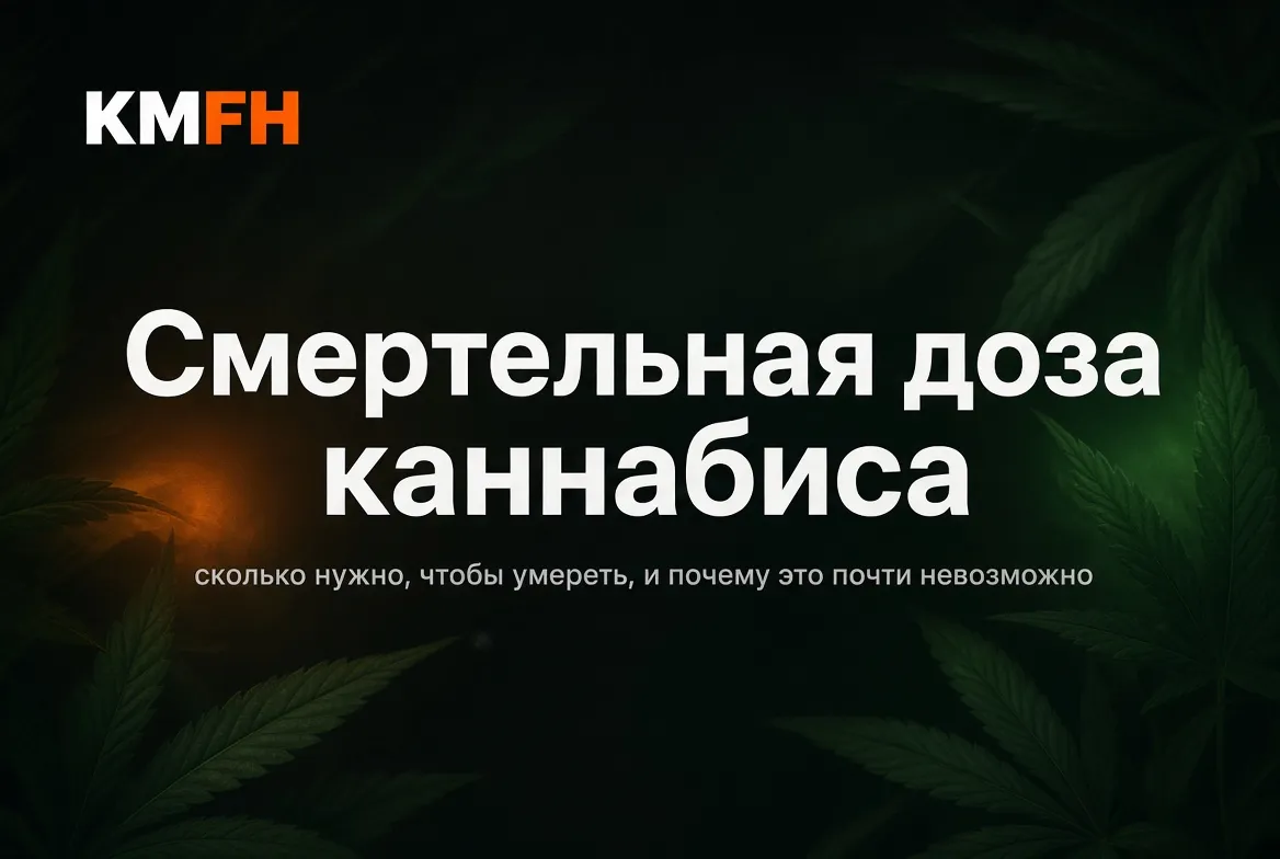 Может ли каннабис стать причиной смерти.webp