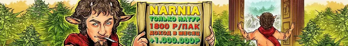 NARNIA.webp