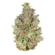 OG Kush.webp
