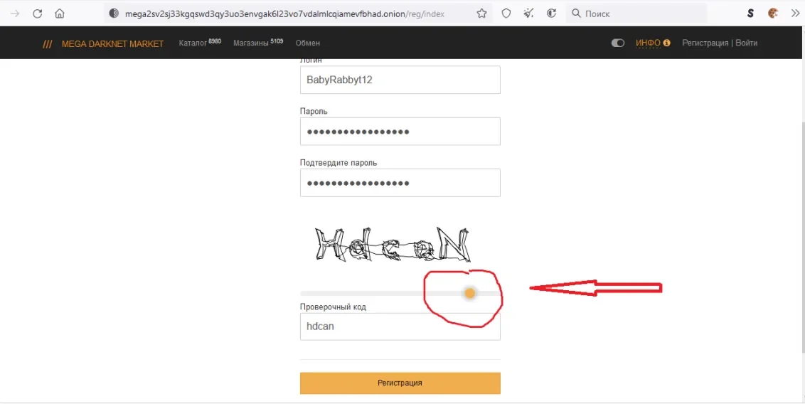 ползунок.webp