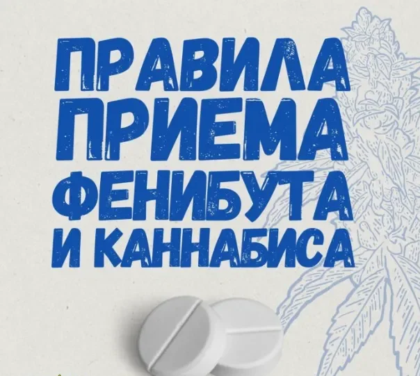 првила приёма Ф и К.webp