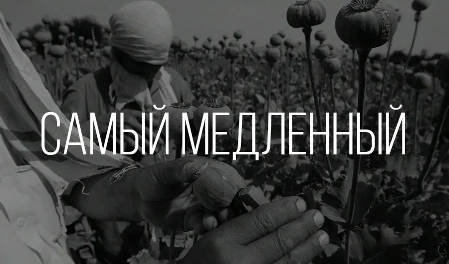 Самый медленный наркотик.webp