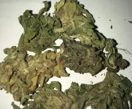 Шишки Afgan Kush.webp