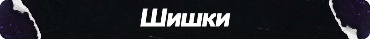 шишки.webp