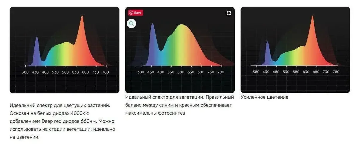 спектры.webp