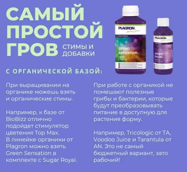 стимы и добавки.webp