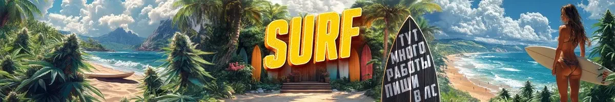 SURF.webp