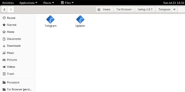 Telega.webp