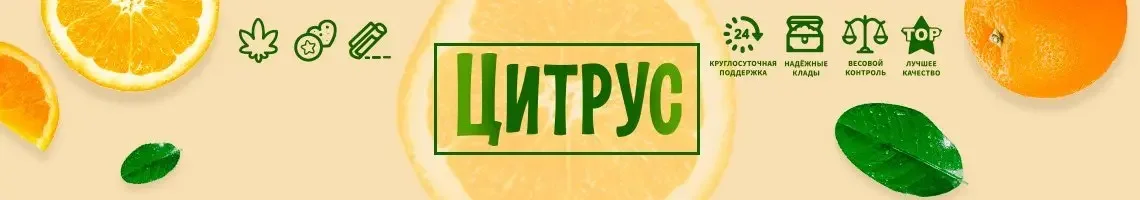 Цитрус.webp