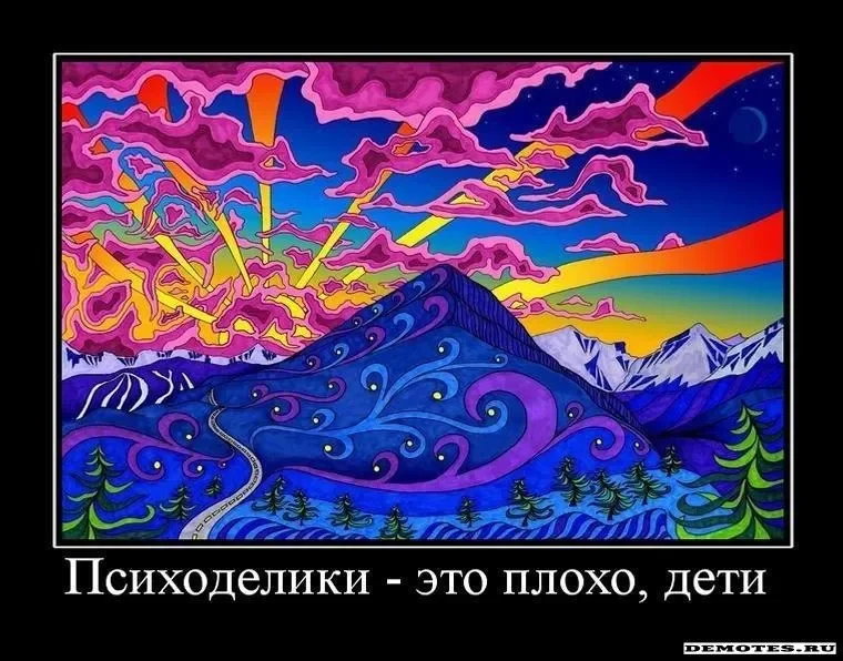 употребления психоделиков.webp