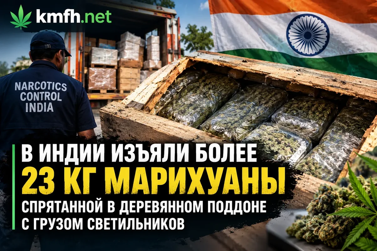 В Индии изъяли более 23 кг марихуаны.webp