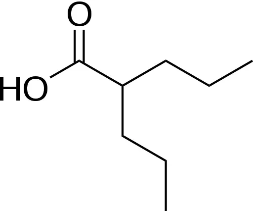 Вальпроевая кислота.webp