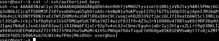 ваш содержание публичного ключ.webp