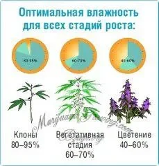 Влажность.webp