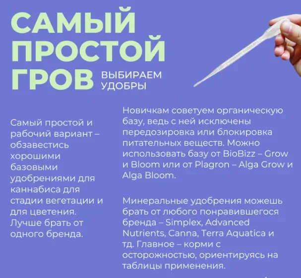 выбираем удобрения.webp