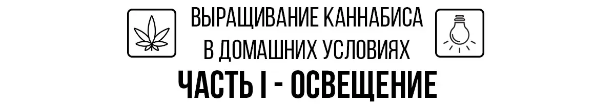 Выращивание каннабиса в домашних условиях. Часть I - Освещение.webp