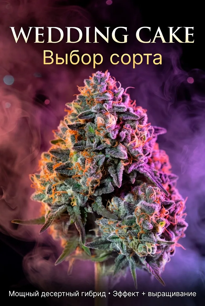 Wedding Cake.webp