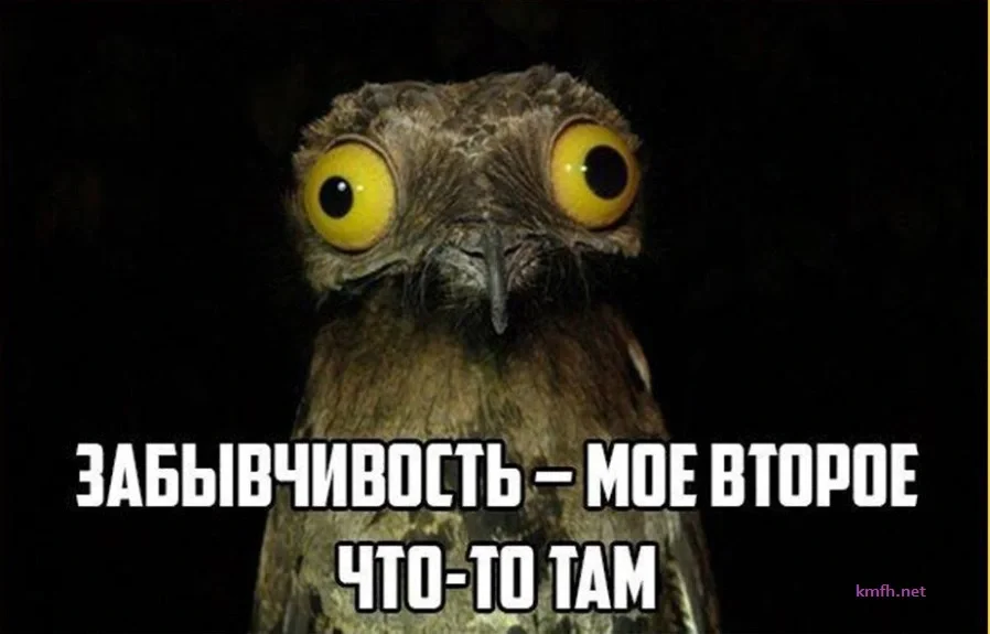 забывчивость-моё-второе-кто-там.webp