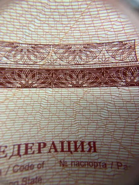 3u5g7gh4-8rh6648jb5.webp