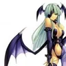 55frazia553