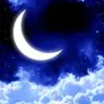 Night Dream