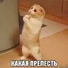 какаяпрелесть