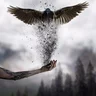 Levyn