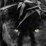 EREMAPUMA5
